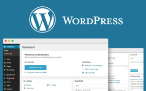 wordpress-website-design[1]