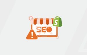 shopify-drawbacks